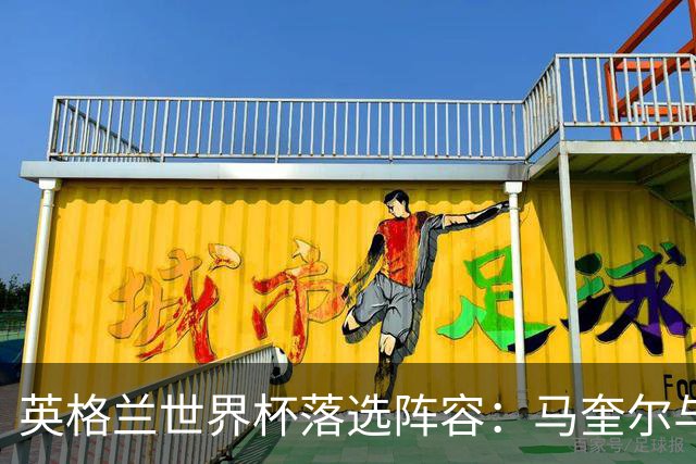 英格兰世界杯落选阵容：马奎尔与帕尔默的双重领衔
